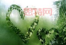 馬斯克怒懟「大而美」法案：或組第三勢力？加密貨幣成共和黨新金脈？