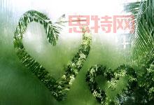 萬事利：絲綢霸業登頂，AI創新引領行業變革
