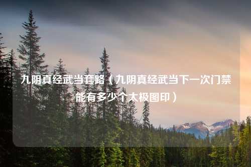 九阴真经武当套路（九阴真经武当下一次门禁能有多少个太极图印）