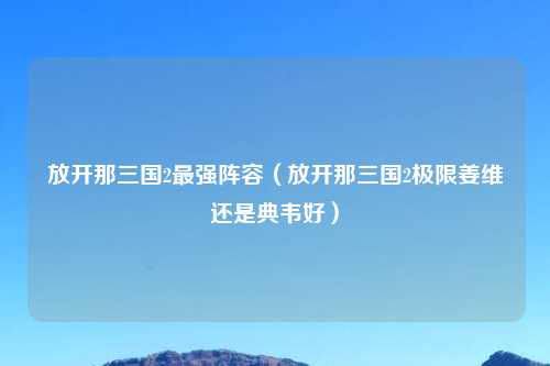 放开那三国2最强阵容（放开那三国2极限姜维还是典韦好）