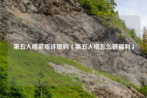 第五人格紫皮许愿码（第五人格怎么获福利）