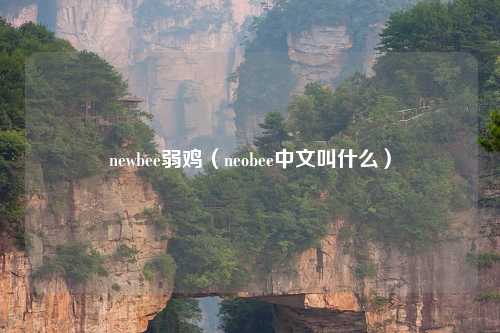 newbee弱鸡（neobee中文叫什么）
