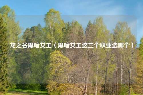 龙之谷黑暗女王（黑暗女王这三个职业选哪个）