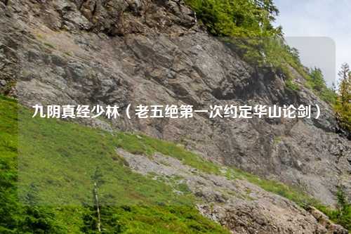 九阴真经少林（老五绝第一次约定华山论剑）