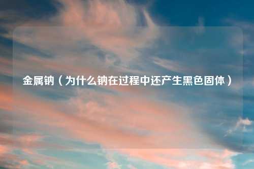 金属钠（为什么钠在过程中还产生黑色固体）