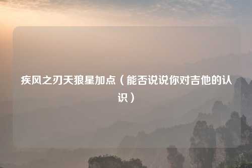 疾风之刃天狼星加点（能否说说你对吉他的认识）