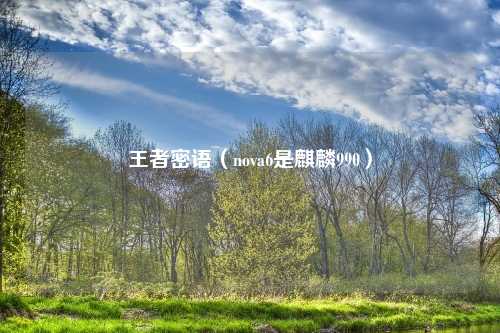 王者密语（nova6是麒麟990）