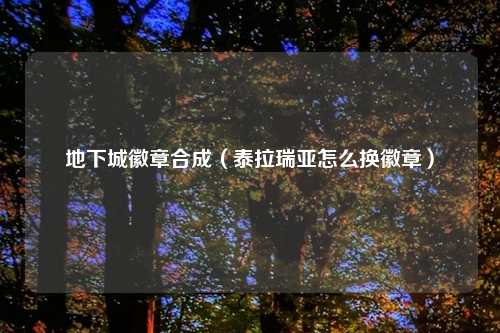 地下城徽章合成（泰拉瑞亚怎么换徽章）
