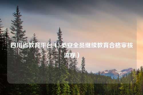 四川省教育平台（b类安全员继续教育合格审核流程）