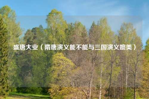 盛唐大业（隋唐演义能不能与三国演义媲美）
