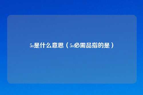 5s是什么意思（5s必需品指的是）