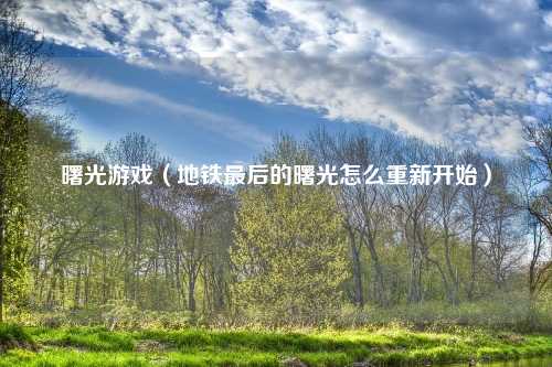 曙光游戏（地铁最后的曙光怎么重新开始）
