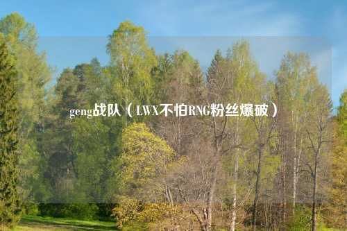 geng战队（LWX不怕RNG粉丝爆破）