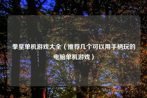 拳皇单机游戏大全（推荐几个可以用手柄玩的电脑单机游戏）