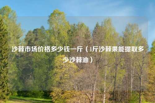 沙棘市场价格多少钱一斤（1斤沙棘果能提取多少沙棘油）