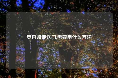 奥丹姆传送门,需要用什么方法