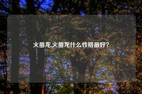 火苗龙,火苗龙什么性格最好？