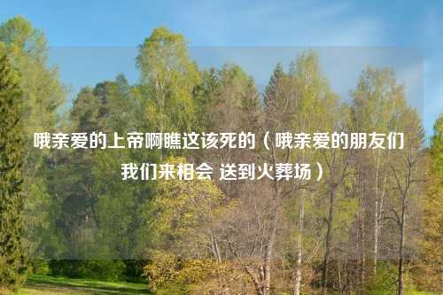 哦亲爱的上帝啊瞧这该死的（哦亲爱的朋友们 我们来相会 送到火葬场）