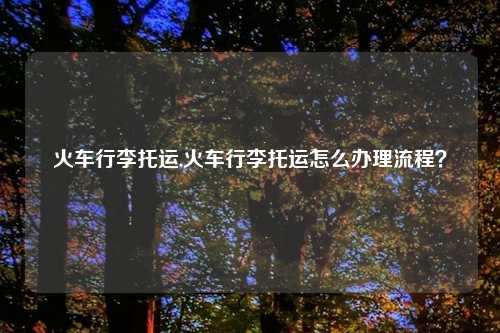 火车行李托运,火车行李托运怎么办理流程？