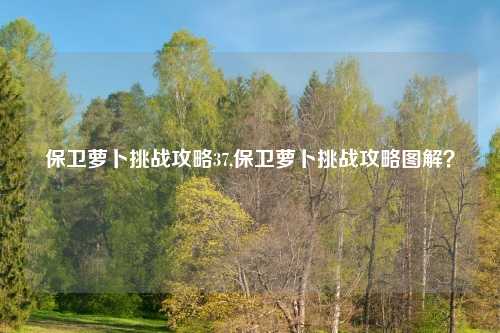 保卫萝卜挑战攻略37,保卫萝卜挑战攻略图解？