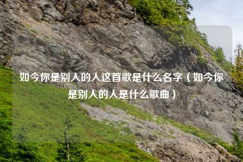 如今你是别人的人这首歌是什么名字（如今你是别人的人是什么歌曲）