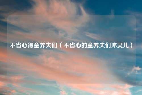 不省心得童养夫们（不省心的童养夫们沐灵儿）