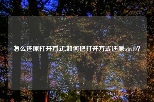 怎么还原打开方式,如何把打开方式还原win10？