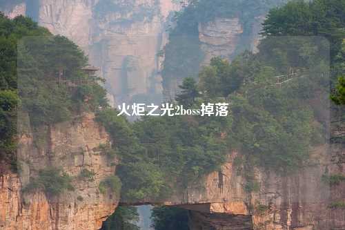 火炬之光2boss掉落