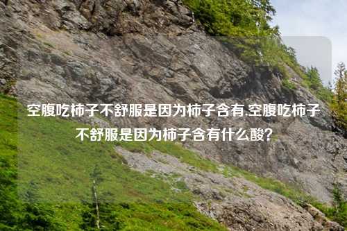 空腹吃柿子不舒服是因为柿子含有,空腹吃柿子不舒服是因为柿子含有什么酸？