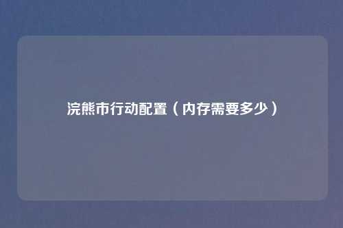 浣熊市行动配置（内存需要多少）