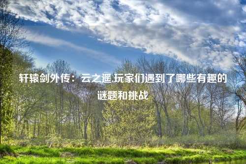 轩辕剑外传：云之遥,玩家们遇到了哪些有趣的谜题和挑战