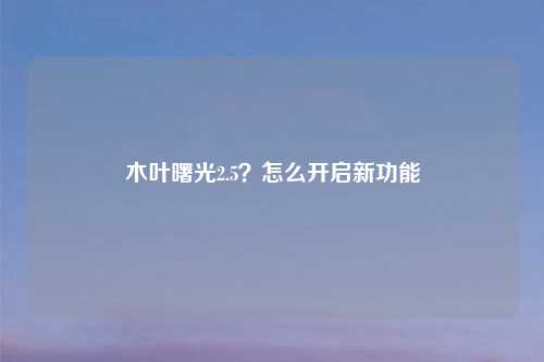 木叶曙光2.5？怎么开启新功能