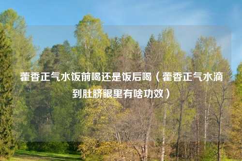 藿香正气水饭前喝还是饭后喝（藿香正气水滴到肚脐眼里有啥功效）