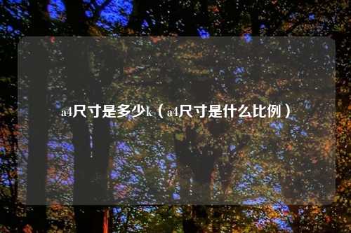 a4尺寸是多少k（a4尺寸是什么比例）