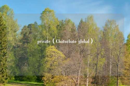 private（Chaturbate global）