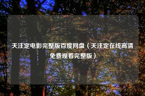 天注定电影完整版百度网盘（天注定在线高清免费观看完整版）