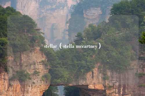 stellar（stella mccartney）