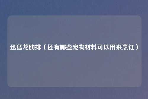 迅猛龙肋排（还有哪些宠物材料可以用来烹饪）