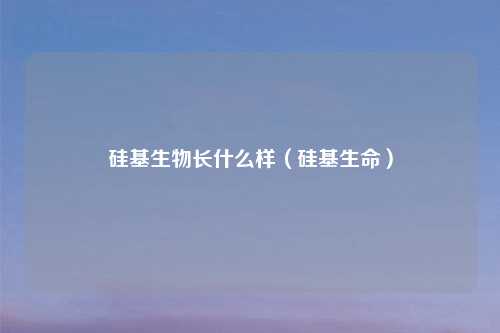 硅基生物长什么样（硅基生命）