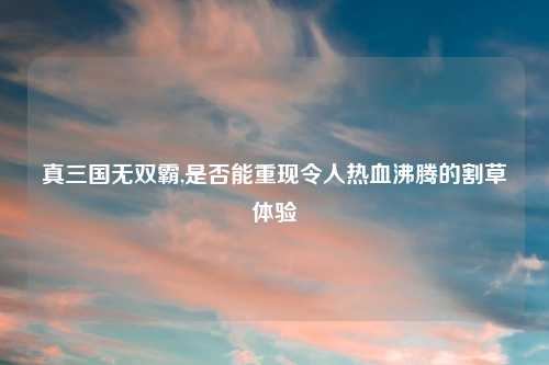 真三国无双霸,是否能重现令人热血沸腾的割草体验