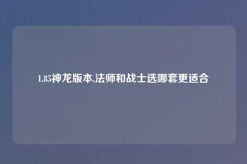 1.85神龙版本,法师和战士选哪套更适合