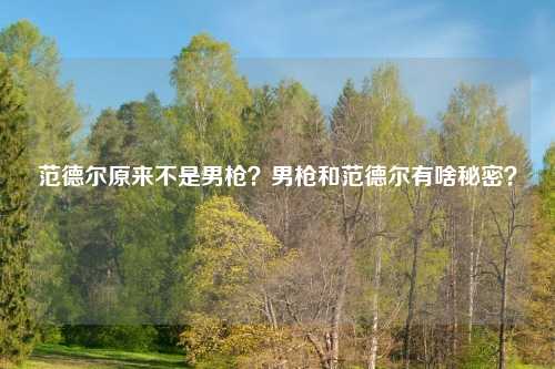 范德尔原来不是男枪？男枪和范德尔有啥秘密？