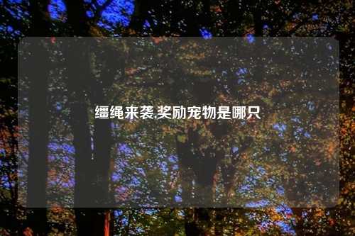 缰绳来袭,奖励宠物是哪只