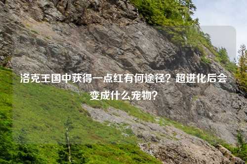 洛克王国中获得一点红有何途径？超进化后会变成什么宠物？