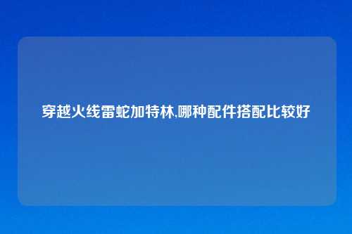 穿越火线雷蛇加特林,哪种配件搭配比较好