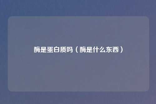 酶是蛋白质吗（酶是什么东西）