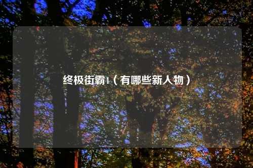 终极街霸4（有哪些新人物）