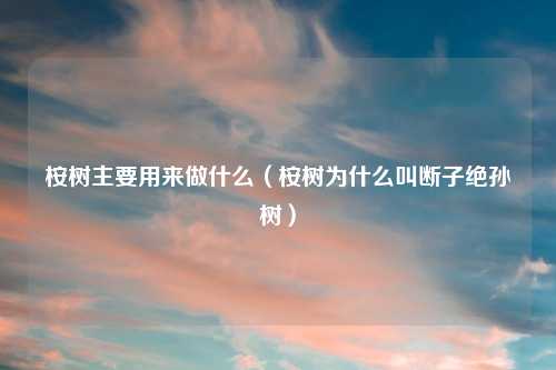 桉树主要用来做什么（桉树为什么叫断子绝孙树）