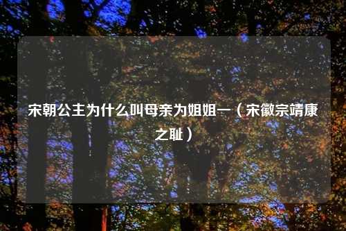 宋朝公主为什么叫母亲为姐姐一（宋徽宗靖康之耻）