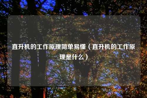 直升机的工作原理简单易懂（直升机的工作原理是什么）